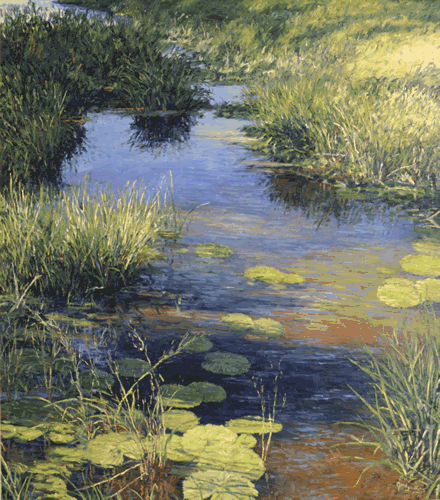 light play on a marsh
