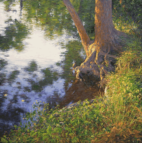 river roots