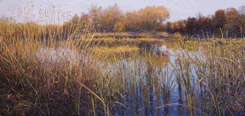 lake marsh