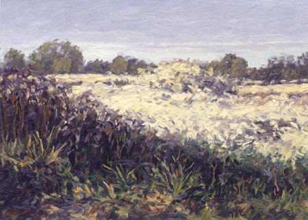 0950509