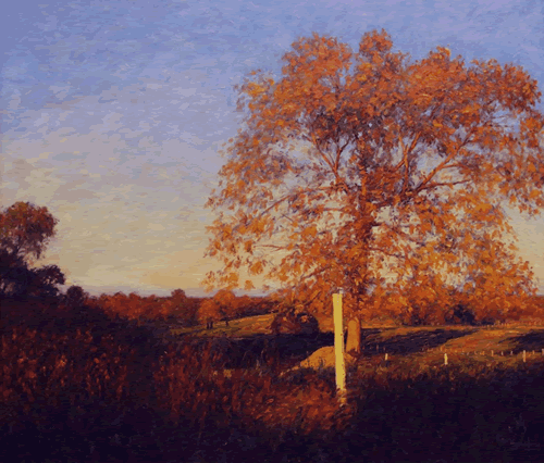 fence posts and autumn afternoon
