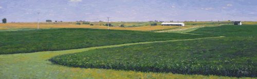 midday fields