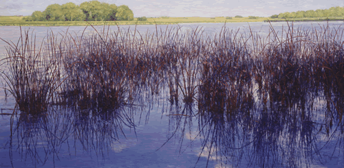 red reeds