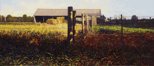 fences in shadows