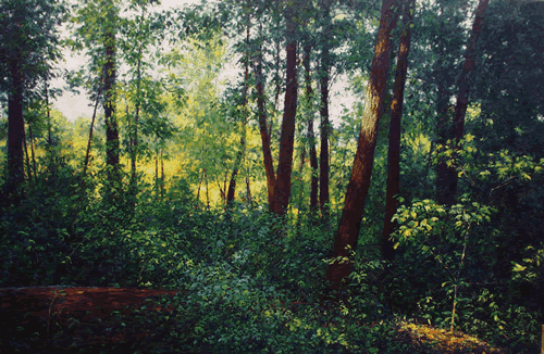 august woods