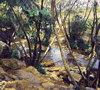 brook through woods