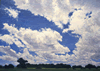 white clouds above bands of green