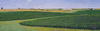 midday fields