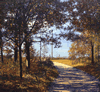 jim's lane