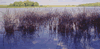 red reeds