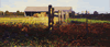 fences in shadows