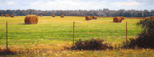 fenced hay