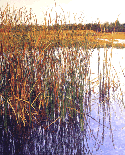 narrow marsh