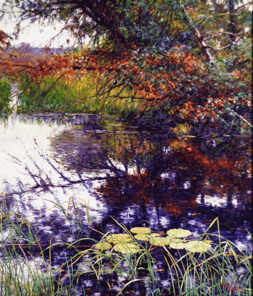 marsh pond