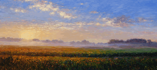 morning ground fog 