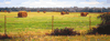 fenced hay