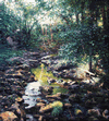 green brook