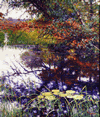 marsh pond