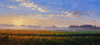 morning ground fog