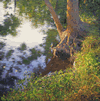river roots