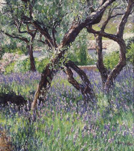 lavendar