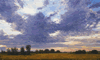 cloudy prarie