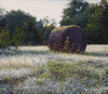 dew and frost on hay