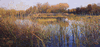 lake marsh